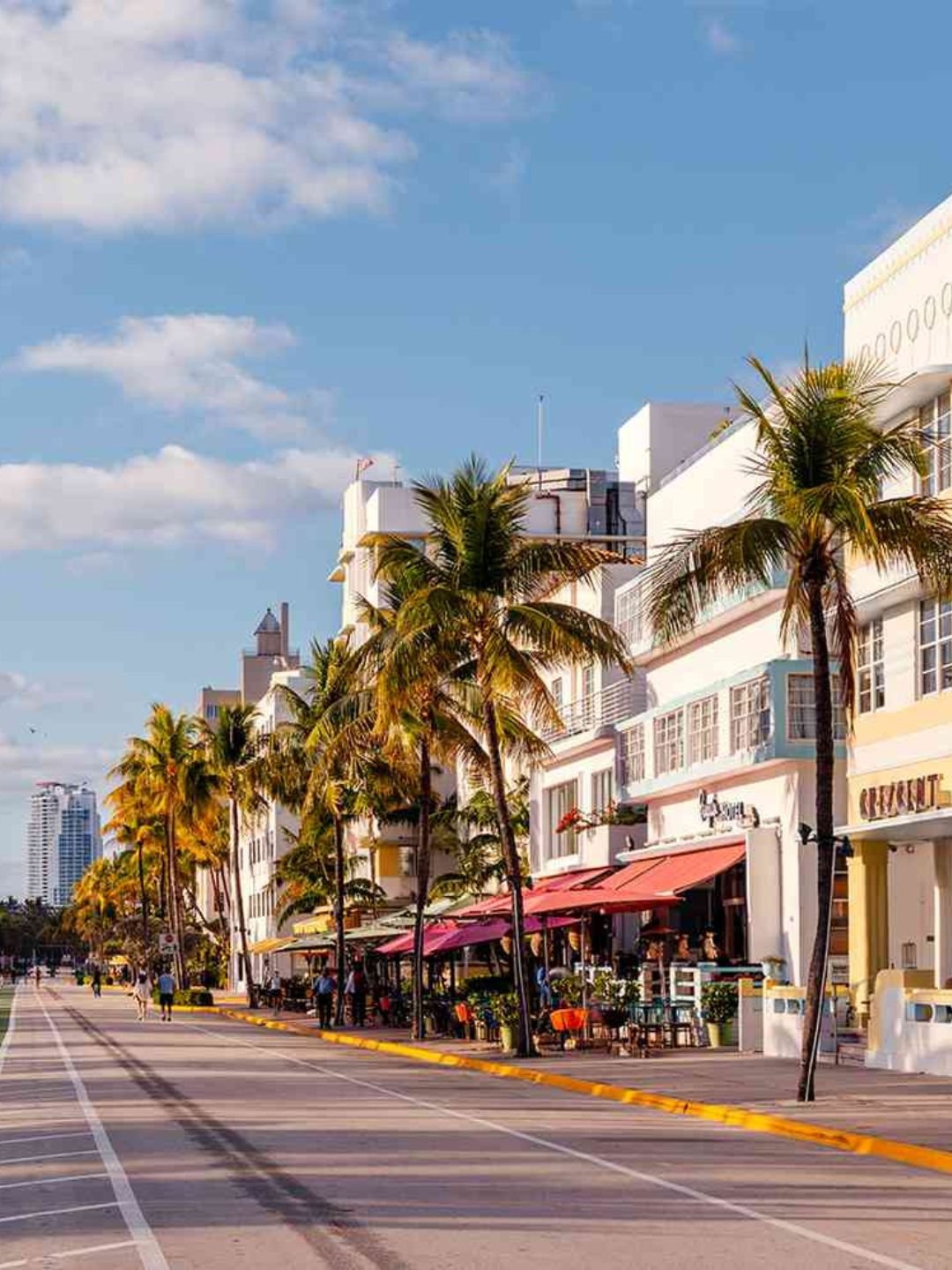 Palmeras en Miami Florida